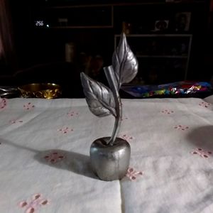 Apple candle light out